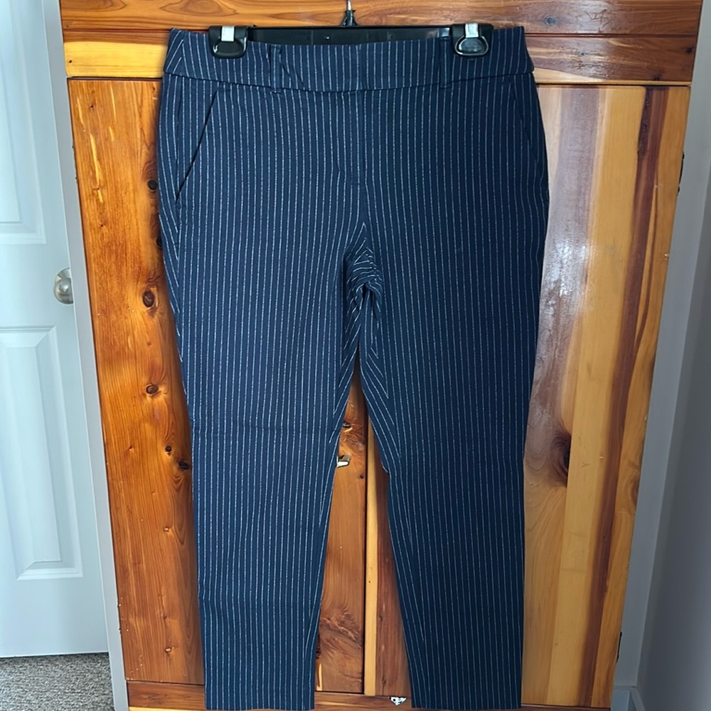 Women’s Loft brand navy blue striped pants